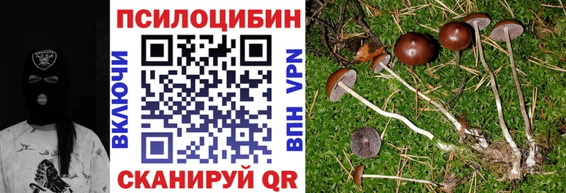 Галлюциногенные грибы MAGIC MUSHROOMS Выкса
